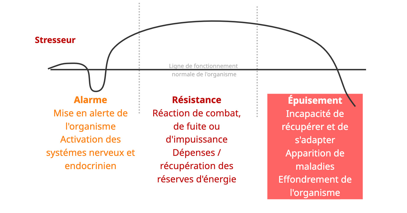 Syndrôme générale d'adaptation